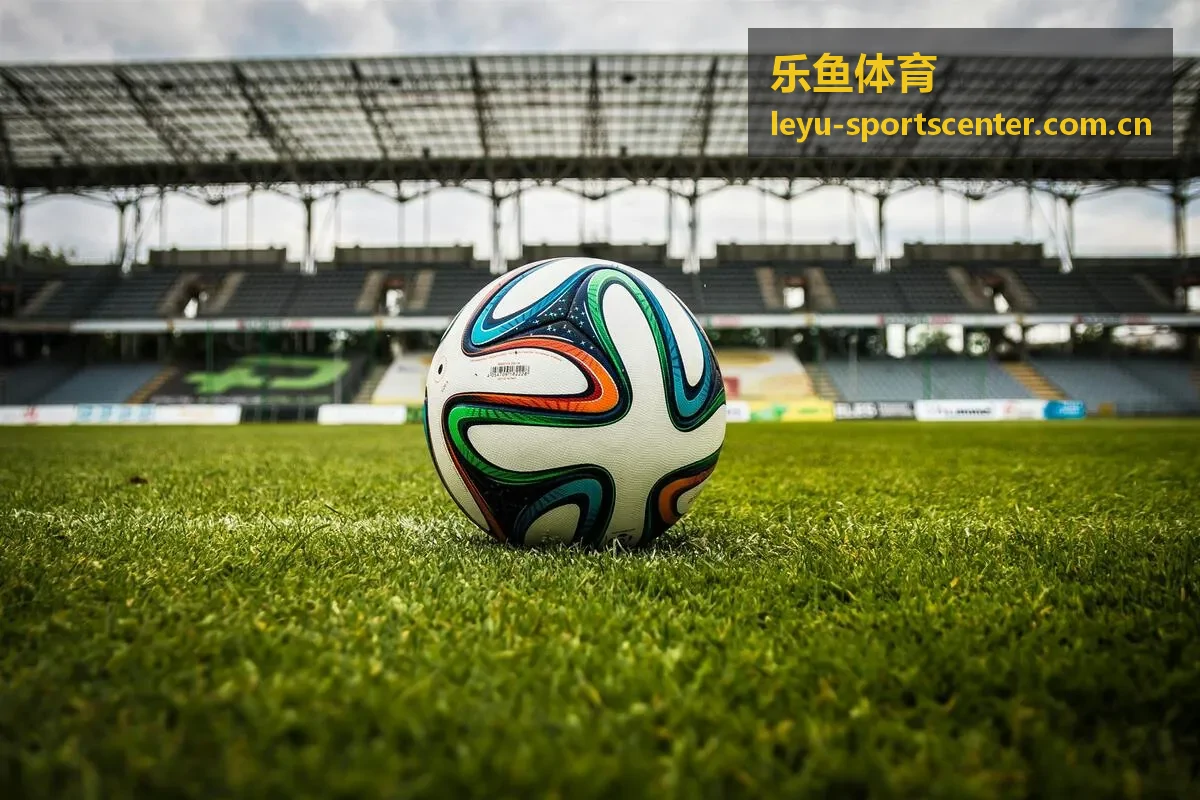 乐鱼体育球队资料档案封面